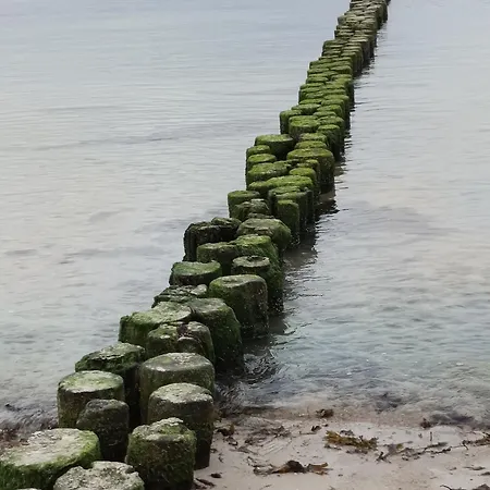 Boddenbee Appartement *